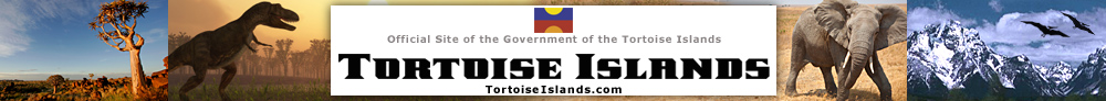 tortoise bank banner